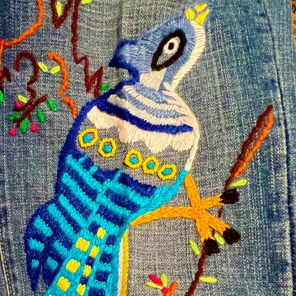 Switch USA Embroidered Jeans